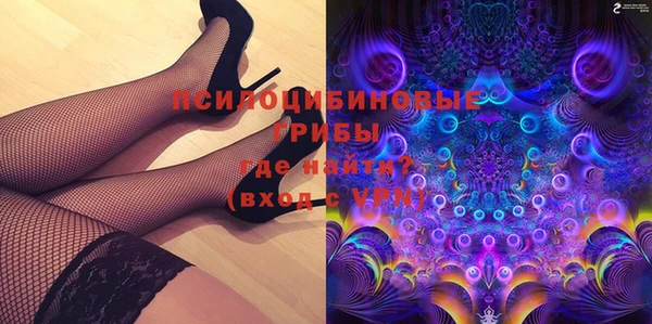 крисы Медногорск