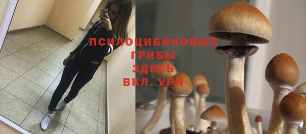 не бодяженный Михайлов